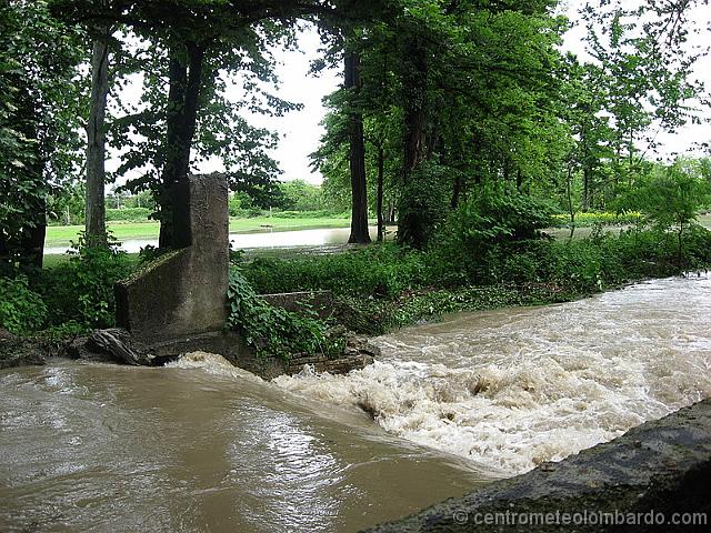 foto5.JPG - Legnano (MI), 18 Maggio ore 12.15. Olona in piena zona castello. Sullo sfondo campi  allagati. Foto di Alessio Panarella