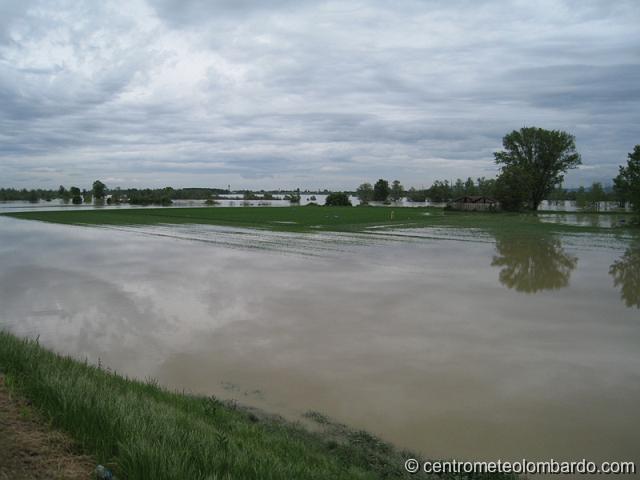 4.jpg - Mezzana Corti - Cava Manara (PV). 29 Aprile, ore 12. Piena fiume Po: vista verso l'Oltrepo; sullo sfondo il paese di Rea Po. (Alessandro d'Altilia)