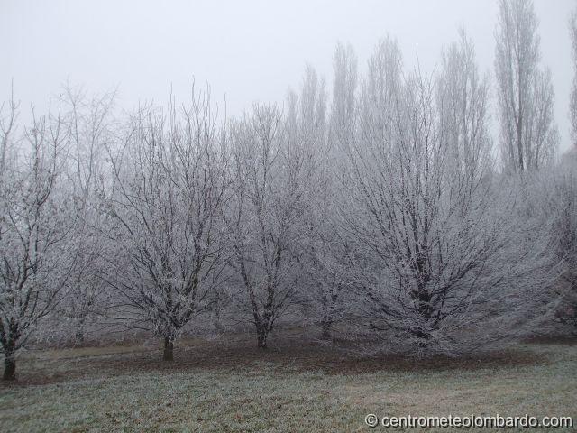 1.jpg - Buccinasco (MI). 5 Gennaio, ore 11. (Stefania Palumbo)