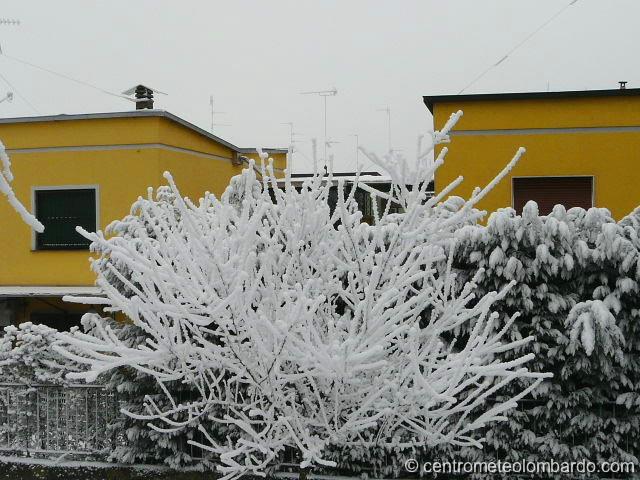 6.jpg - Pavia. 5 Gennaio, ore 15. La galaverna è riuscita ad accumulare qualche cm in modo estremamente locale: già a 200m di distanza, questo manto nevoso era completamente scomparso. (Tommasco Grieco)