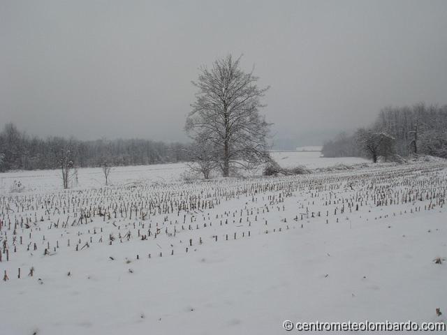 26.jpg - Senna Comasco (CO). 10 Marzo, ore 10. Caduti circa 10cm di neve. (Simone Rossetto)